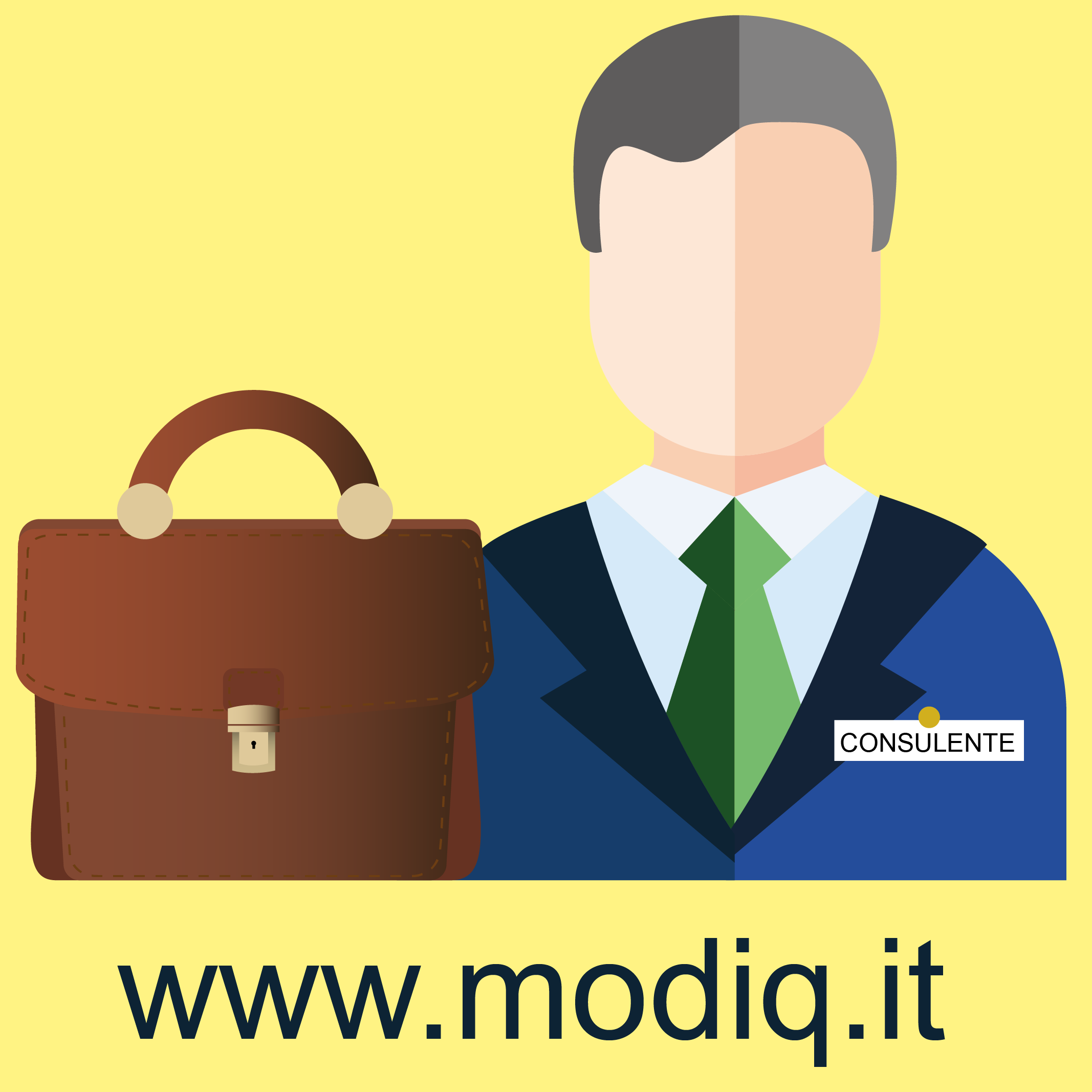 consulenza alle aziende www.modiq.it